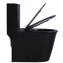 Plaza 1874 Matte Black Skirted Dual Flush Toilet