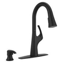Pfister Seahaven Kitchen Faucet