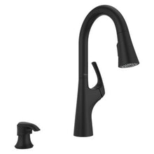 Pfister Seahaven Kitchen Faucet
