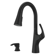 Pfister Seahaven Kitchen Faucet