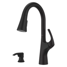 Pfister Seahaven Kitchen Faucet