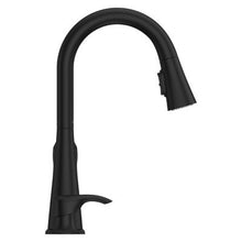 Pfister Seahaven Kitchen Faucet