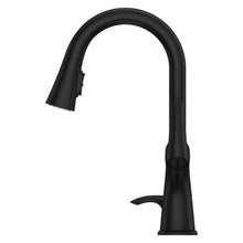 Pfister Seahaven Kitchen Faucet