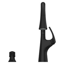 Pfister Seahaven Kitchen Faucet