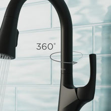 Pfister Seahaven Kitchen Faucet