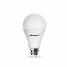 A21 Dimmable LED Light Bulb 100W