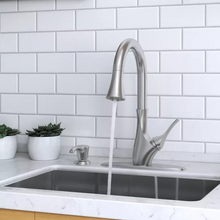 Pfister Tegley Kitchen Faucet