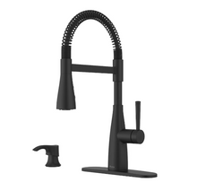 Pfister Raya 1-Handle Culinary Pull-Down Kitchen Faucet