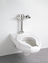 Delta Manual Exposed Water Closet Flush Valve