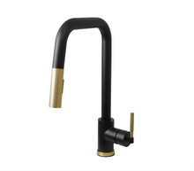 Kodaen Cascade Single handle Pull-down Spray Kitchen Faucet - F23200