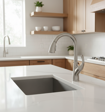 Peerless Parkwood Single-Handle Pull-Down Kitchen Faucet