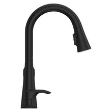 Pfister Seahaven Kitchen Faucet
