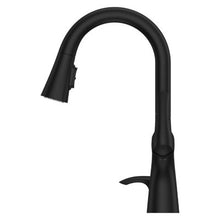 Pfister Seahaven Kitchen Faucet