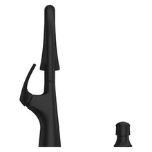 Pfister Seahaven Kitchen Faucet