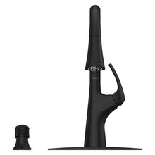 Pfister Seahaven Kitchen Faucet