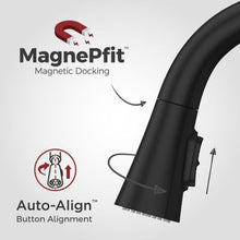 Pfister Seahaven Kitchen Faucet