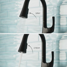 Pfister Seahaven Kitchen Faucet