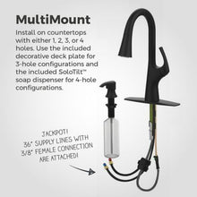 Pfister Seahaven Kitchen Faucet