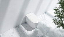 Plaza Integrated Smart Bidet Toilet