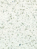 Quartz Counter Top TCE 2019