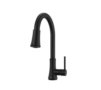 Pfister Pfirst Series 1-Handle Pull-Down Kitchen Faucet