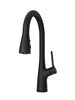 Pfister Neera 1-Handle Pull-Down Kitchen Faucet