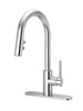 Pfister Stellen 1-Handle Pull-Down Kitchen Faucet