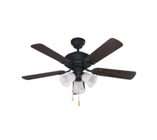 Canarm Seymour Ceiling Fan with Light