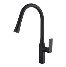 Aqua F23134 - Pull-Down Dual Spray Kitchen Faucet