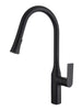 Aqua F23134 - Pull-Down Dual Spray Kitchen Faucet