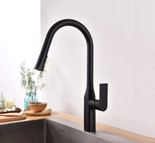 Aqua F23134 - Pull-Down Dual Spray Kitchen Faucet