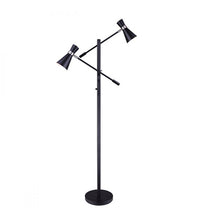 Canarm Griffith 2-Light Floor Lamp