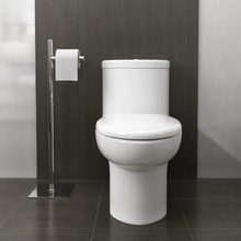 American Standard Tofino One-Piece Dual Flush Elongated Toilet