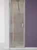 Elisse Swing Shower Door