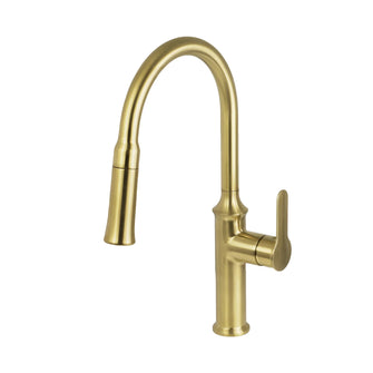 Aqua F23900 - Pull-Down Dual Spray Kitchen Faucet